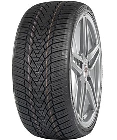 205/55 R16 ARIVO Winmaster ProX ARW 3  91H